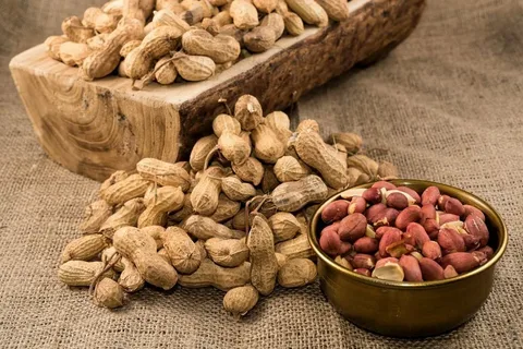 تصویر 5 از قیمت خرید بادام زمینی تازه عمده به صرفه و ارزان